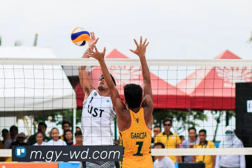 App Interface Preview